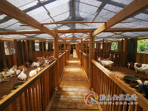 �»��l(xi��ng)���̴������B(y��ng)ֳ�a(ch��n)�I(y��)