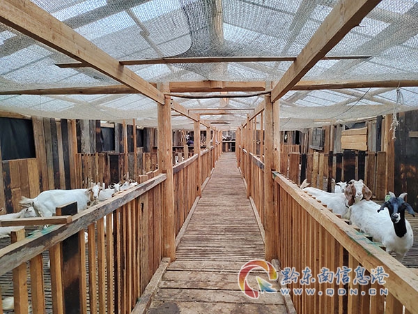 �»��l(xi��ng)���̴������B(y��ng)ֳ�a(ch��n)�I(y��)