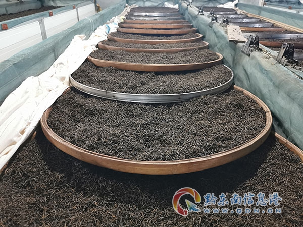 ���Ž̉�������������V��ƪ ������ƺ�(zh��n)�cף��40���̎���(ji��)�߱�P���