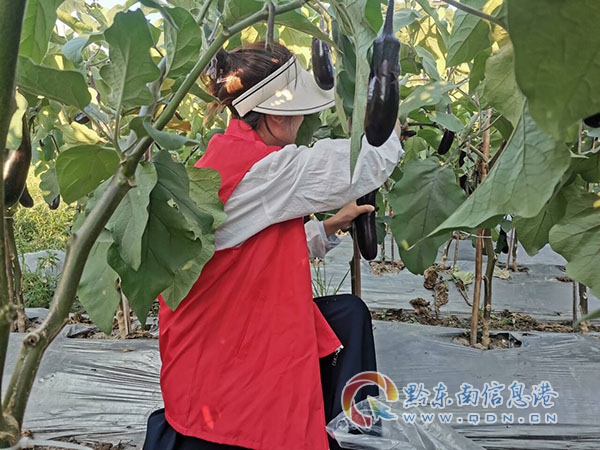 �ع⣡ǭ�|��һ�h���_8���t��ϵ�y�`Ҏ�������T������סԺ���؏����M��ð�����t����