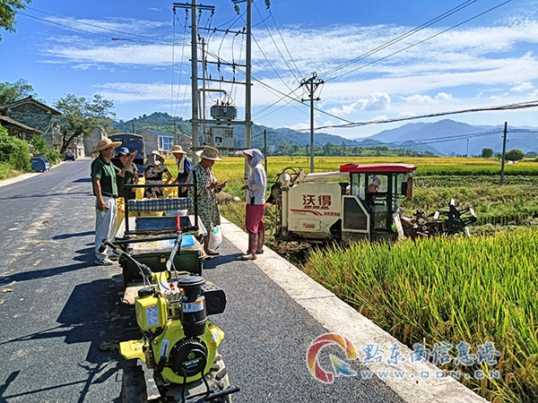 圖為農業農村綜合服務中心到田間做秋收技術指導
