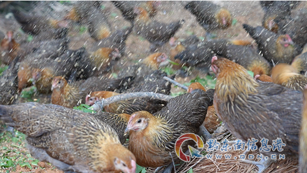 �W(w��ng)�j(lu��)��ȫ���v�����M�����  �����W(w��ng)�j(lu��)��ȫ����