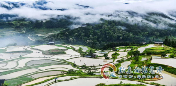 ��ƽ�h�P��ί2024�����ڶ�������Ӗ���ڳ��P��С�e��