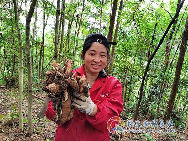 ��ƽ�h����患����֡���ӭ��ϲ�c�S��