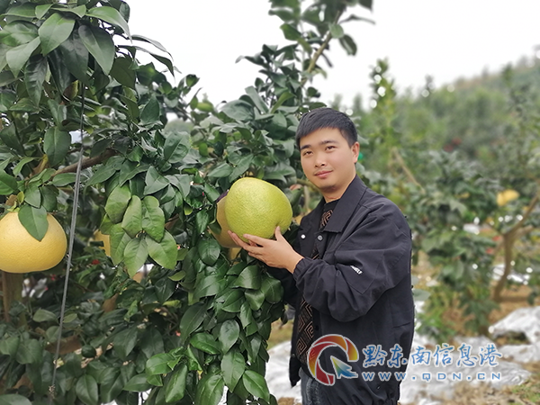 �ο��c�P�ֺ�Ӱ