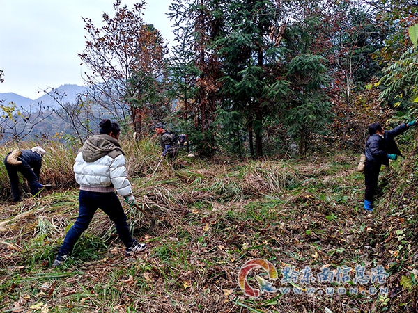 ��ƽ�����B�mץ�@4���W���ˆT