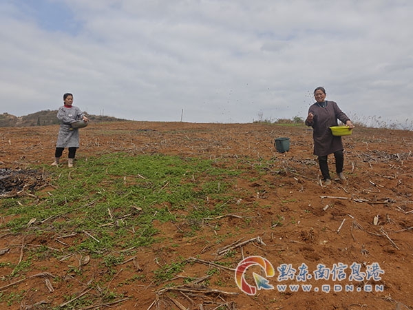 �e���Ъ���ǭ�|��һ�ع��_�����柟���ﾀ��