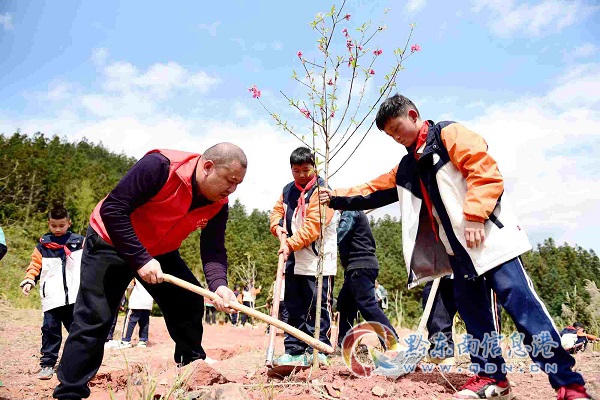 �F�ݏĽ����l(xi��ng)�����d�L�ʹ�����������