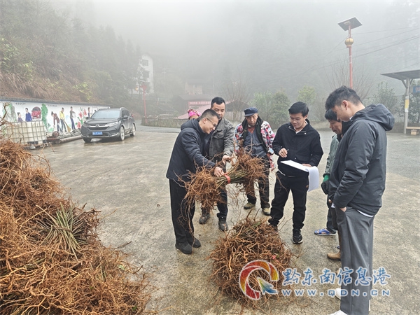 ���������� �Ƅ� ��δ�������P�����o�Єӡ� Ҋ��Ч �o����������L