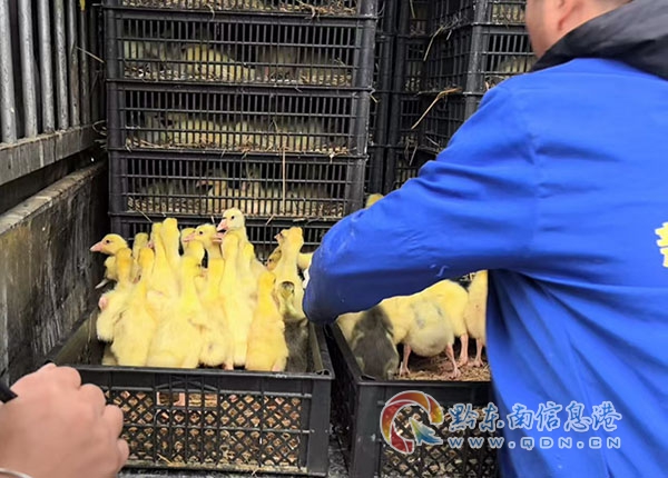 ���b�mж ���Ĳ��ģ���ƽ�����֡�܇(ch��)�(du��)�o(h��)���߿�·