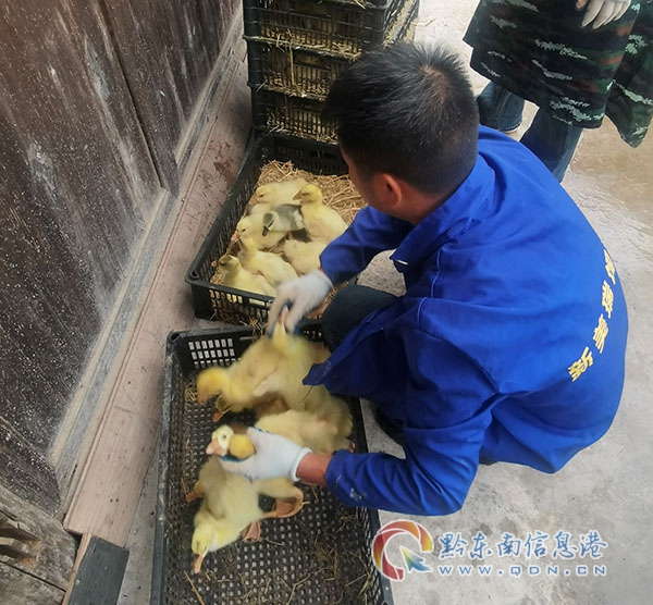 �ų�悰l���Z�絽�r��