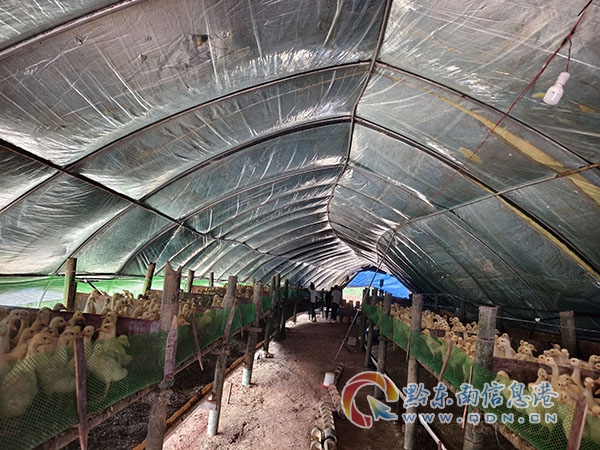 �ų���_����Z�Bֳ�c