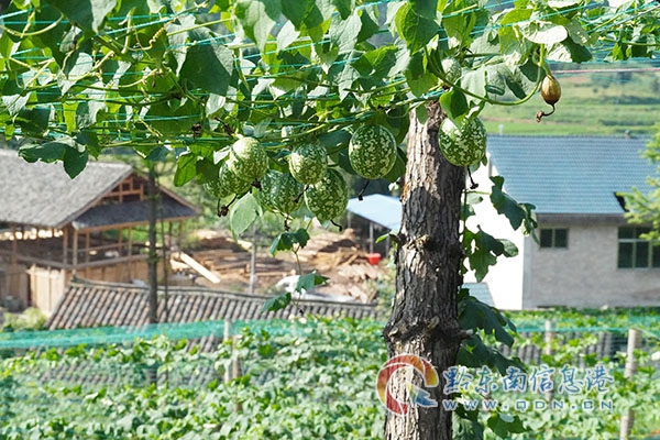 ��Ϫ������_չУ�@��ȫ��헙z��