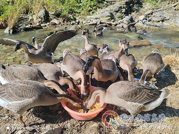 ��ƽ�h���P�ֵ�������ס�޷��o�W ��δ�����˰�ȫ�����i��