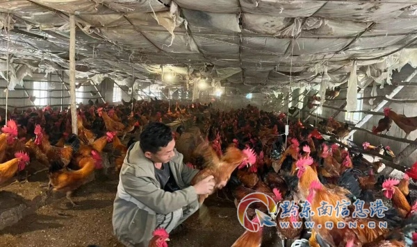 �����e�׃����������P���аl(f��)��150���R������N���r(n��ng)��(w��n)�Z����