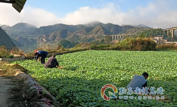 �P�ˮ�(zh��n)���Ͳ����ￗ�����d���S����