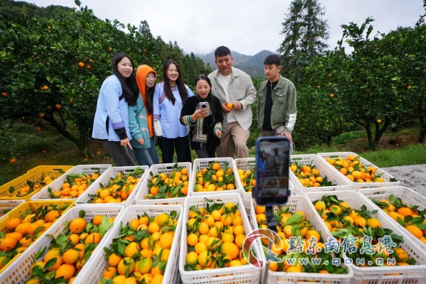 �Ž��hˮβ�l����ϵ���yȺ�� ����ο���͜�ů