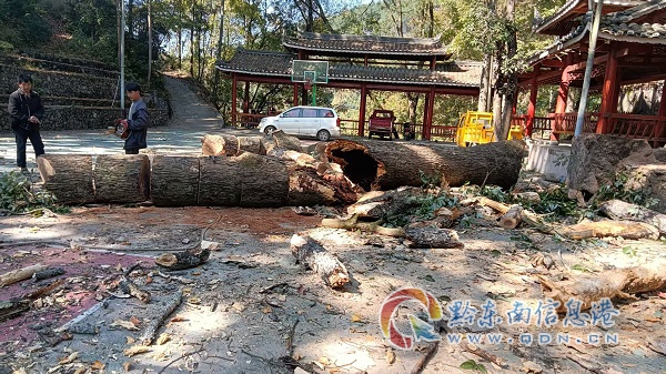 �T���������_�h����ʿ���ϸɲ���Մ��