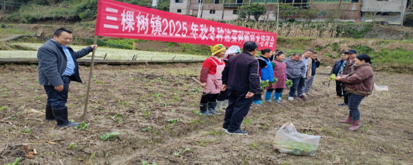 �]·�������ģ������Ͱ��L��ʮ���r��