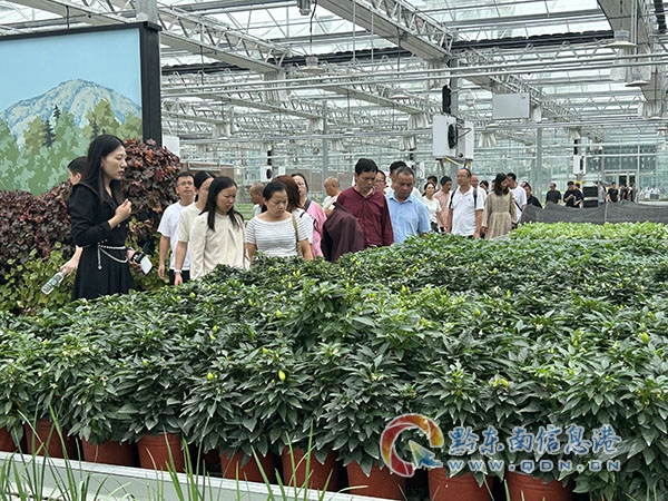 �P��r�����ա��L�������պá��S����