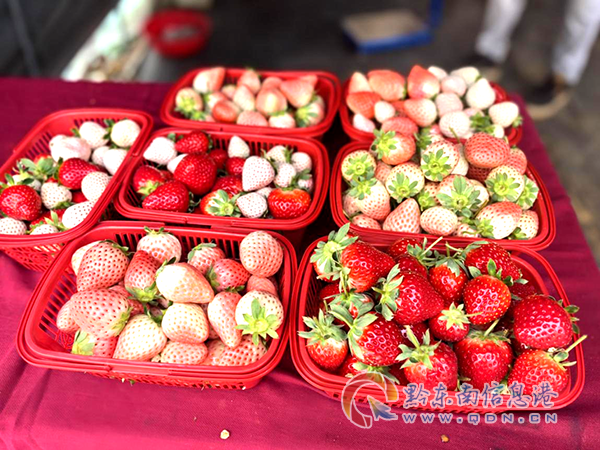 ����Ϫ���@��׌�㌍�F��ݮ���ɣ�