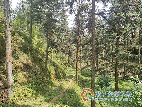 ���ͺϽ��Iģʽ��ɼľ�����׷Nľ����ˎ��