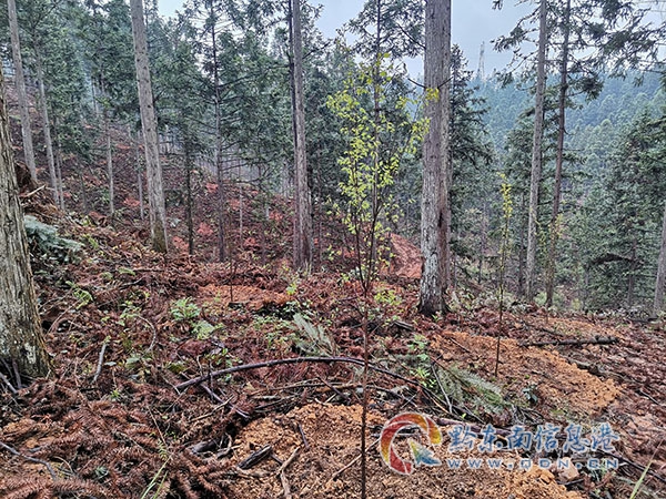 ��ʩ��Ę�N�Y���{���؉K