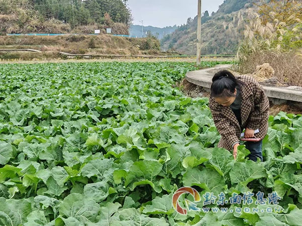 �tɽ����޴壺�Ͳ�Խ���L�ݺ� �r���o���S����