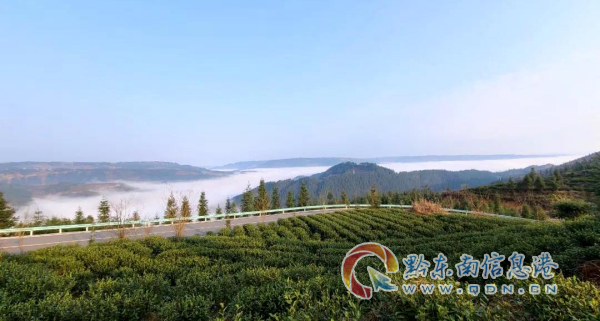 �\���h��������������ί�T����������