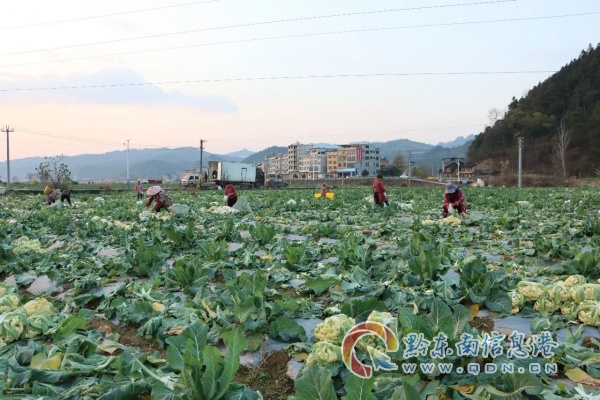 ����Ϣ�������h���|��ˮ������������