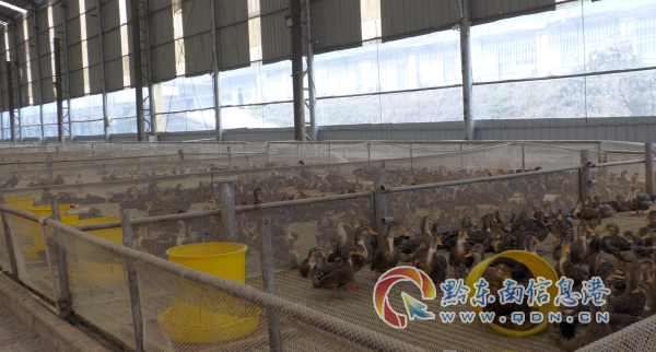 �Sƽ�h�f���:�S������������ �a�N����������