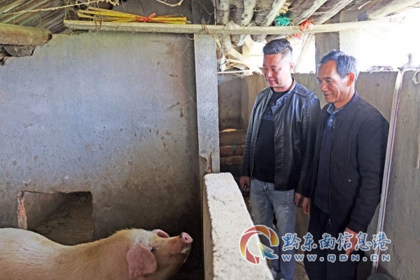 ���۽��ɕ�(hu��)������ί�T�L(f��ng)�ɡ����衣�������B(t��i)���� �����l(xi��ng)�����d